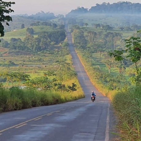 paisagem